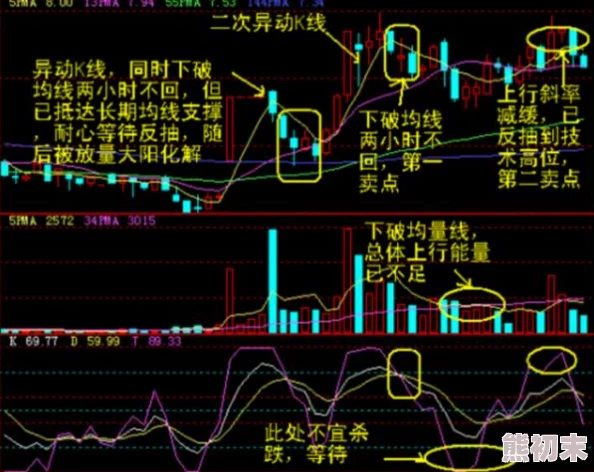 机机免费30分钟k线视频实时更新助您精准把握市场动态掌握投资先机