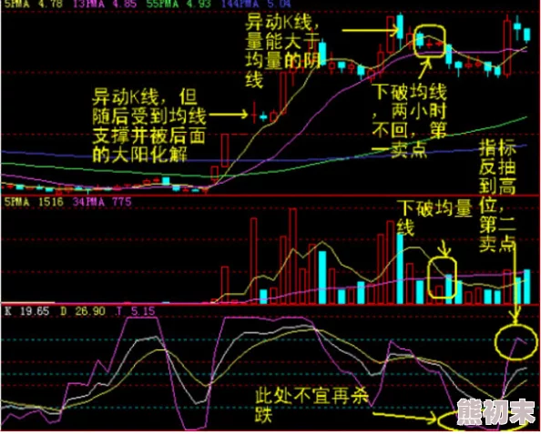 机机免费30分钟k线视频实时更新助您精准把握市场动态掌握投资先机