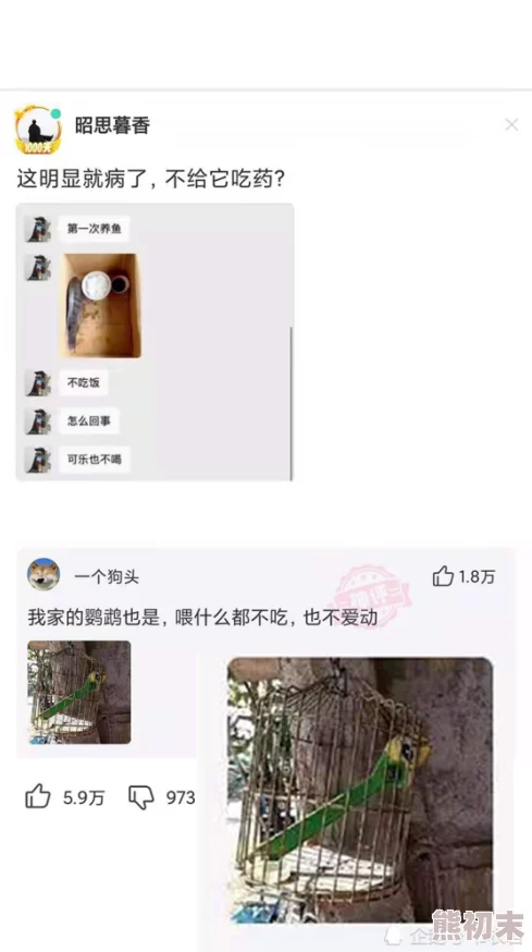 巨莽少年据说深山修炼十年练就金刚不坏之身还能与百兽沟通