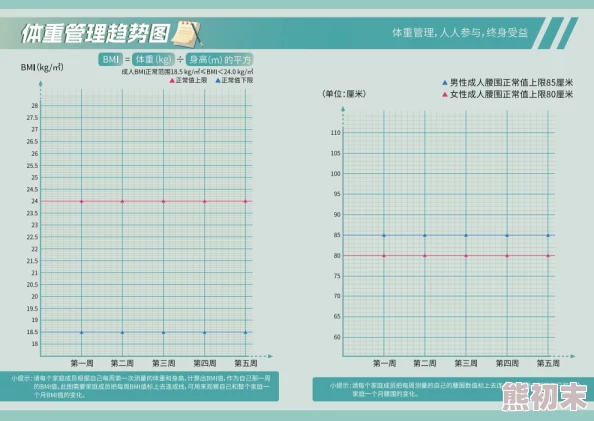 越南bbw体重管理和健康生活方式在越南越来越受欢迎