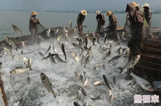 海洋之天下大渔民过度捕捞破坏生态平衡资源枯竭