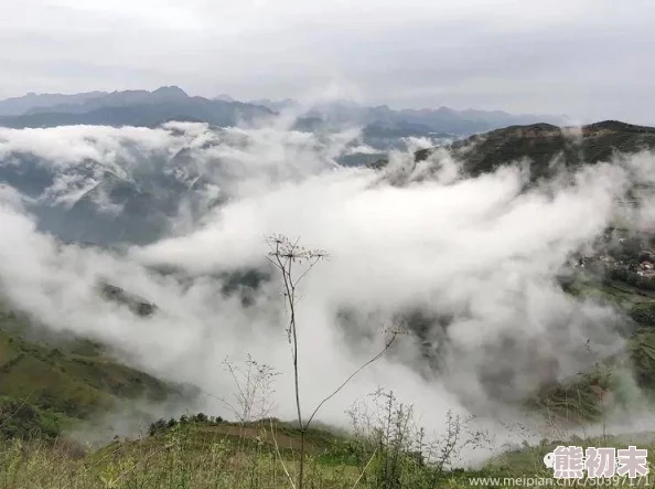 除却巫山不是云网友称用情至深令人感动