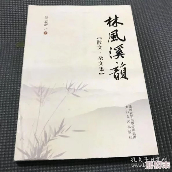 林风网友称其作品引人入胜风格独特值得反复品读