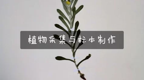 胡秀英植物学著作三十二部顺序介绍著名植物学家胡秀英毕生研究成果