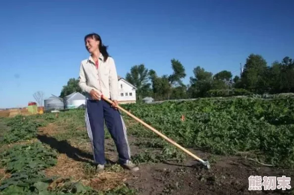 离婚后我在乡下种田疗愈身心回归自然探索田园生活新可能