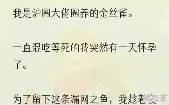 《沈清秋傅庭深小说免费阅读》文笔幼稚情节狗血逻辑混乱浪费时间慎入