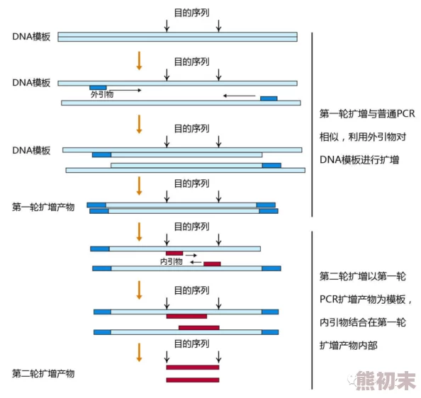 艾尔登法环深度解析：削韧与僵直机制，哪个更胜一筹？