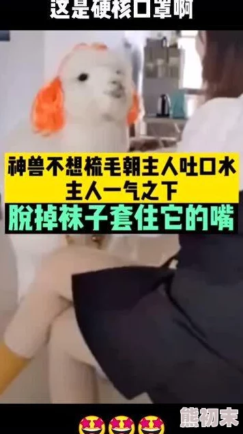 原撅着光屁屁被主人打臀缝曝光录像已在互联网疯传引发网友热议