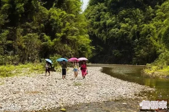 为什么好评如潮为何让人流连忘返好大 好爽 深一点我受不了动漫情节紧凑高潮迭起扣人心弦