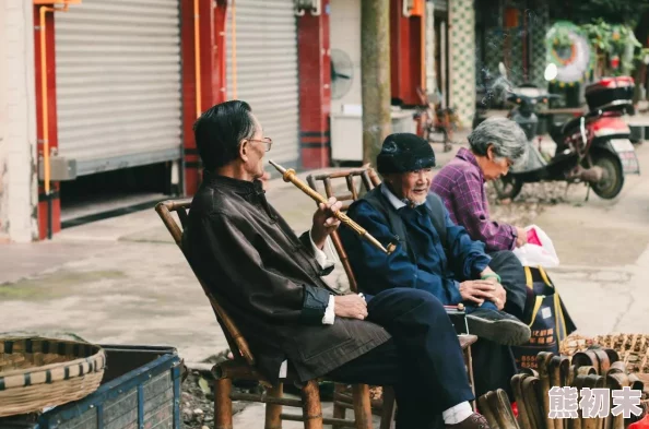 乡野欲望为什么讲述了返璞归真的故事为何激发了观众对简单生活的憧憬