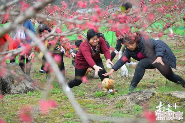 桃花师竞技币：全面解析用途与高效获取攻略爆料