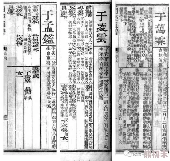 为什么国产一区二区三区视频如此流行它展现了当代人的生活百态