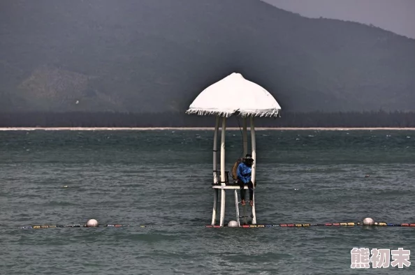 恋与制作人晴夏之滨玩法全攻略：揭秘夏日海岛经营爆料信息