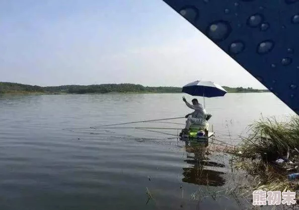 钓鱼爱好者必看！《户外钓鱼 夏日时光》模拟游戏携全新鱼类与地图正式推出！