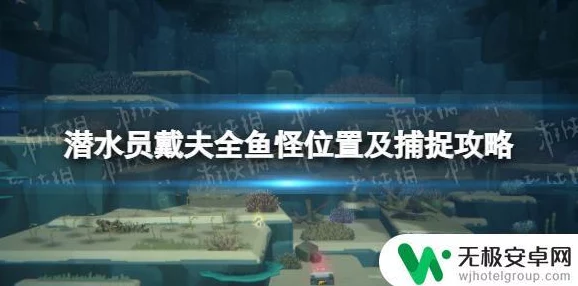 潜水员戴夫全揭秘：鱼怪捕捉攻略与位置爆料大全