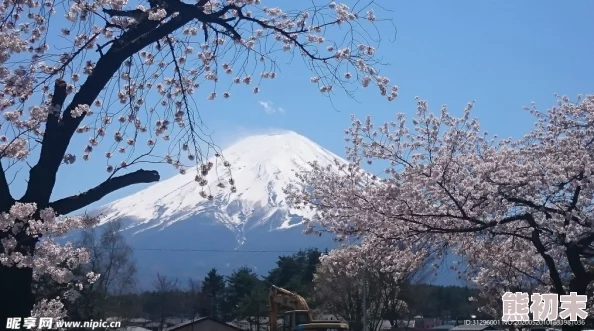 日本富士山赏樱新玩法开启春日浪漫赏花盛宴