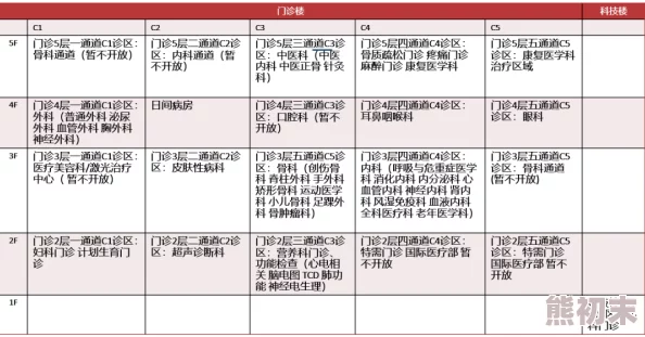 2025年双点医院玩法技巧大全：热门布局与运营策略分享新技巧