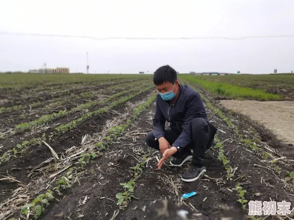 黑土腿发熟练掌握AI农业科技高效种植助增收