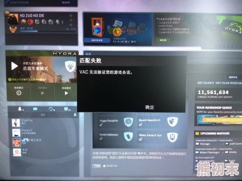 2025年热门解决方案：CSGO VAC无法验证游戏会话问题及修复方法