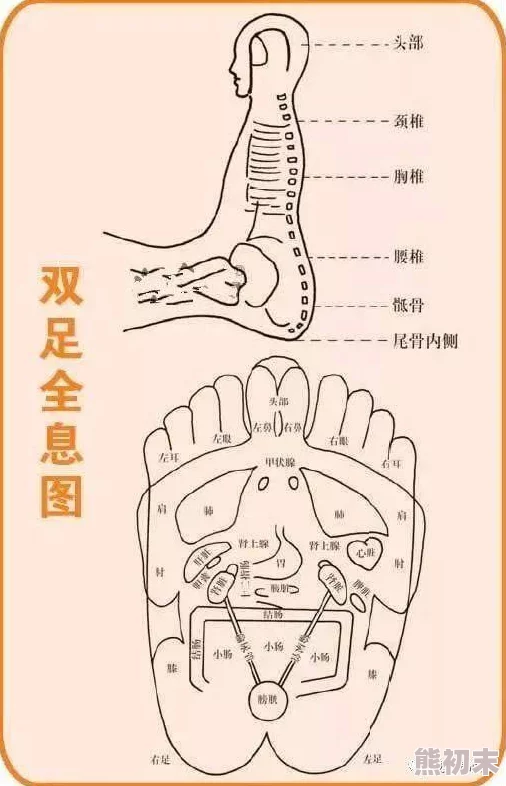 按摩腳底：為何如此受欢迎，是缓解疲劳、改善睡眠的良方？