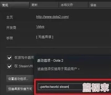 2025年Dota2国服启动项设置代码热门指南与最新优化技巧