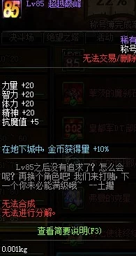 2025年DNF游戏攻略：全新方法获取超越巅峰称号及热门技巧解析