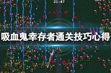 2025吸血鬼幸存者新手指南&玩法攻略，新手必看全攻略