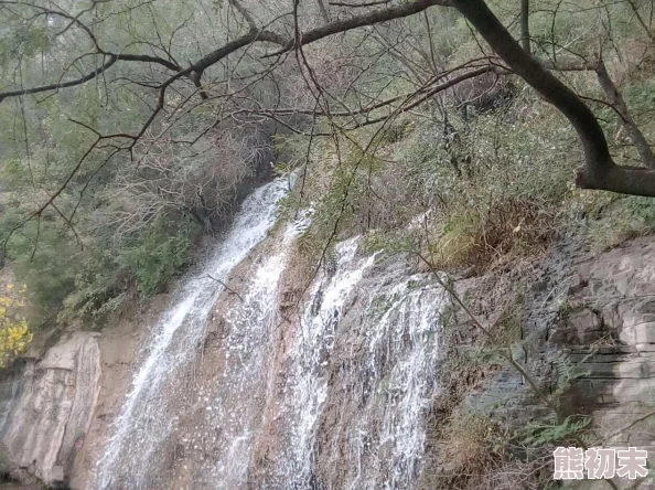 桃花师镇幽攻略详解：镇幽加点与技能搭配指南