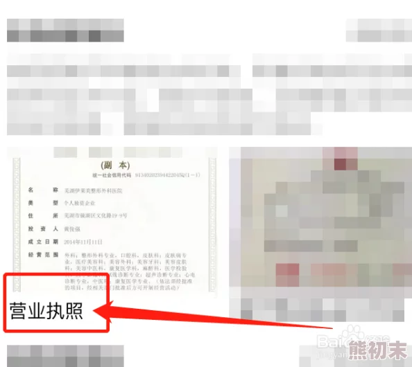 爱企查如何查看营业执照，详细步骤解析