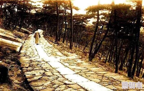 清风阁三级：惊现神秘失踪者踪迹，背后隐藏的真相令人震惊！